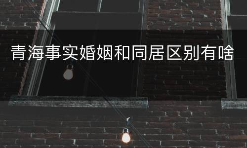 青海事实婚姻和同居区别有啥