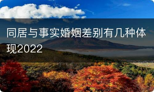 同居与事实婚姻差别有几种体现2022