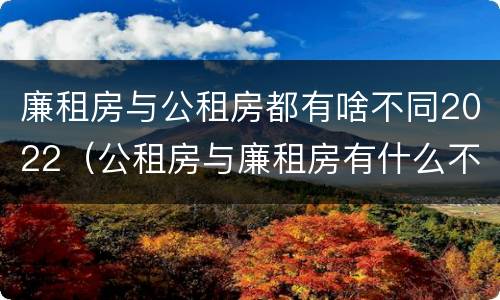 廉租房与公租房都有啥不同2022（公租房与廉租房有什么不同）