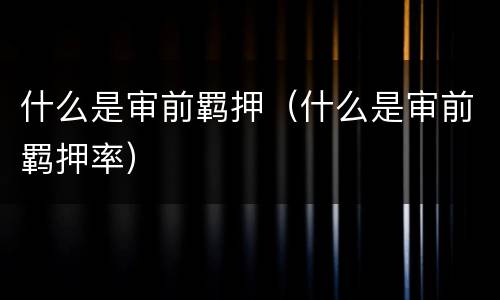 什么是审前羁押（什么是审前羁押率）