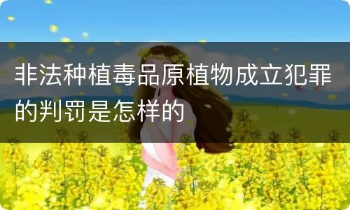 非法种植毒品原植物成立犯罪的判罚是怎样的