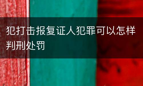 犯打击报复证人犯罪可以怎样判刑处罚