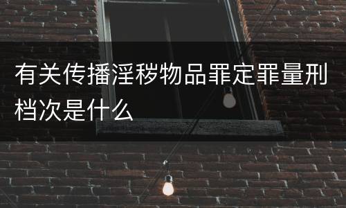 有关传播淫秽物品罪定罪量刑档次是什么