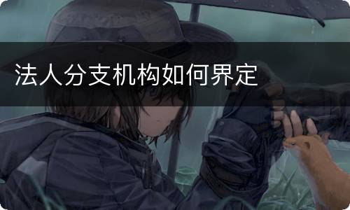 法人分支机构如何界定