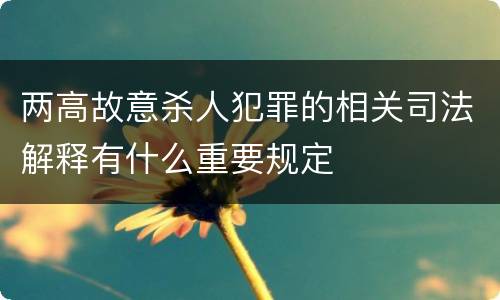 两高故意杀人犯罪的相关司法解释有什么重要规定