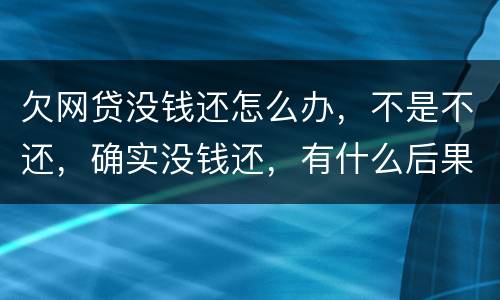 欠网贷没钱还怎么办，不是不还，确实没钱还，有什么后果吗