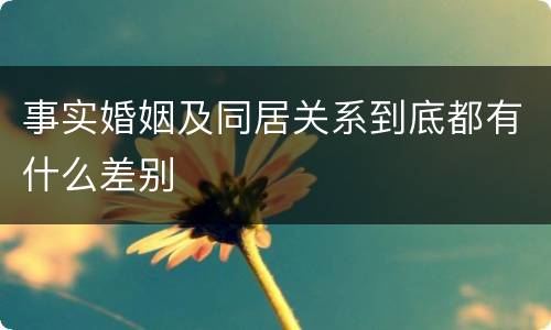 事实婚姻及同居关系到底都有什么差别