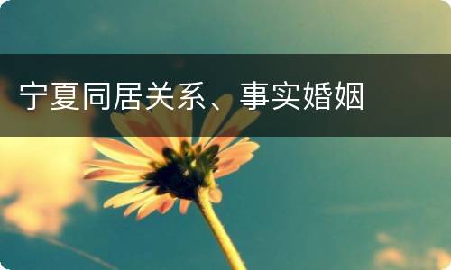 宁夏同居关系、事实婚姻