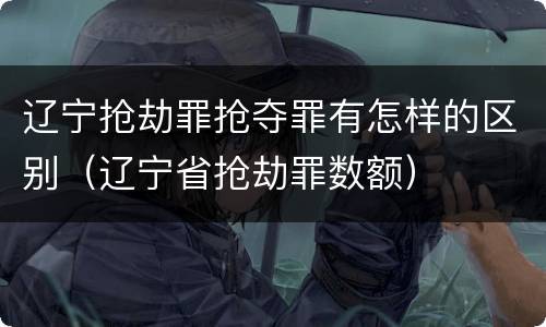 辽宁抢劫罪抢夺罪有怎样的区别（辽宁省抢劫罪数额）