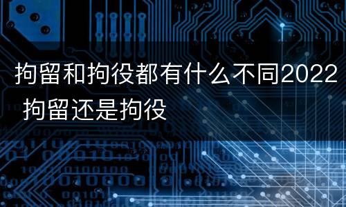 拘留和拘役都有什么不同2022 拘留还是拘役