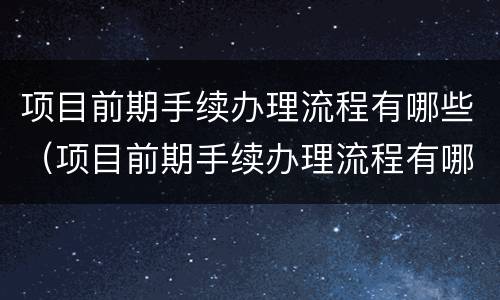 项目前期手续办理流程有哪些（项目前期手续办理流程有哪些要求）