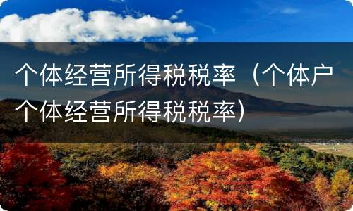 个体经营所得税税率（个体户个体经营所得税税率）