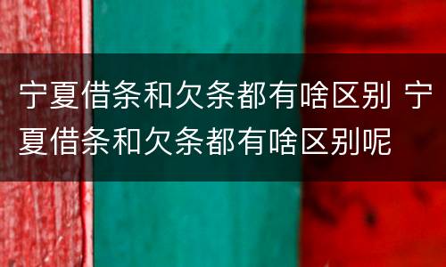宁夏借条和欠条都有啥区别 宁夏借条和欠条都有啥区别呢