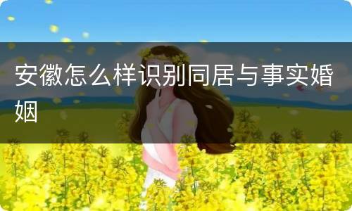 安徽怎么样识别同居与事实婚姻