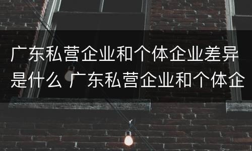 广东私营企业和个体企业差异是什么 广东私营企业和个体企业差异是什么原因
