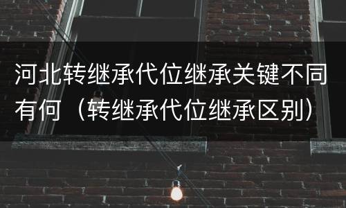 河北转继承代位继承关键不同有何（转继承代位继承区别）