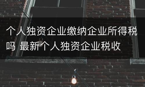个人独资企业缴纳企业所得税吗 最新个人独资企业税收