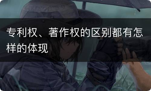 专利权、著作权的区别都有怎样的体现