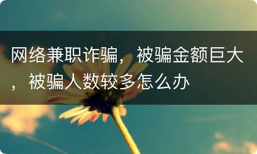 网络兼职诈骗，被骗金额巨大，被骗人数较多怎么办