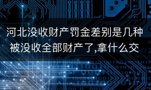 河北没收财产罚金差别是几种 被没收全部财产了,拿什么交罚金