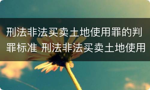 刑法非法买卖土地使用罪的判罪标准 刑法非法买卖土地使用罪的判罪标准是