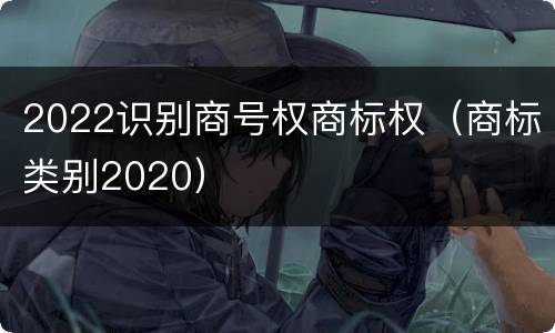 2022识别商号权商标权（商标类别2020）