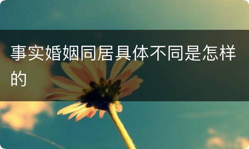 事实婚姻同居具体不同是怎样的