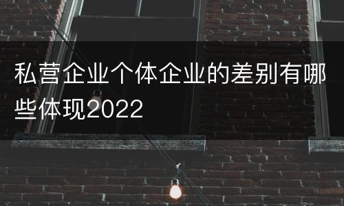私营企业个体企业的差别有哪些体现2022