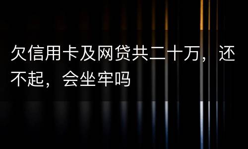 欠信用卡及网贷共二十万，还不起，会坐牢吗