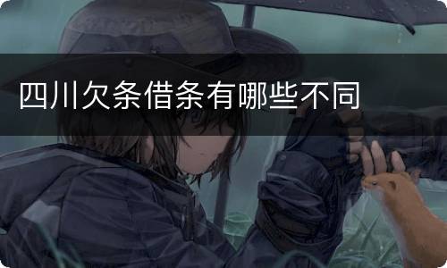 四川欠条借条有哪些不同