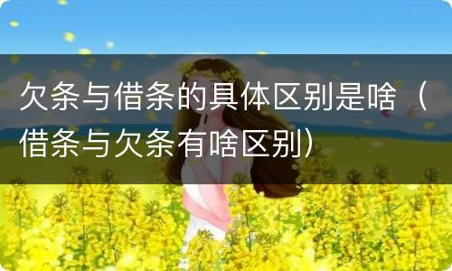 欠条与借条的具体区别是啥（借条与欠条有啥区别）