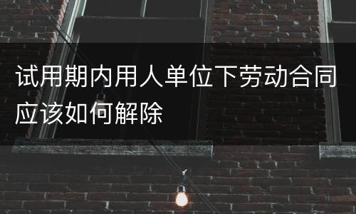 试用期内用人单位下劳动合同应该如何解除