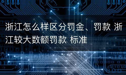 浙江怎么样区分罚金、罚款 浙江较大数额罚款 标准