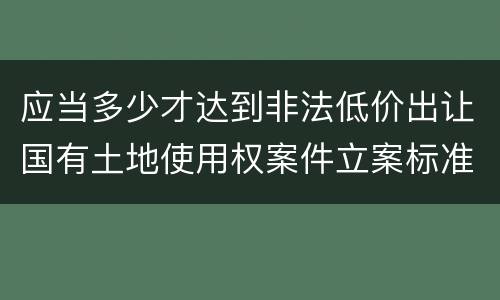 应当多少才达到非法低价出让国有土地使用权案件立案标准