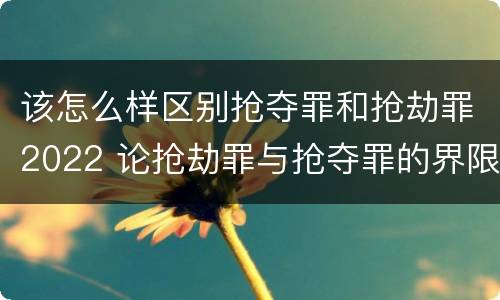 该怎么样区别抢夺罪和抢劫罪2022 论抢劫罪与抢夺罪的界限
