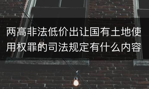 两高非法低价出让国有土地使用权罪的司法规定有什么内容
