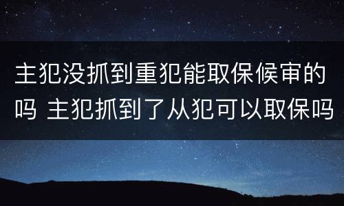 主犯没抓到重犯能取保候审的吗 主犯抓到了从犯可以取保吗