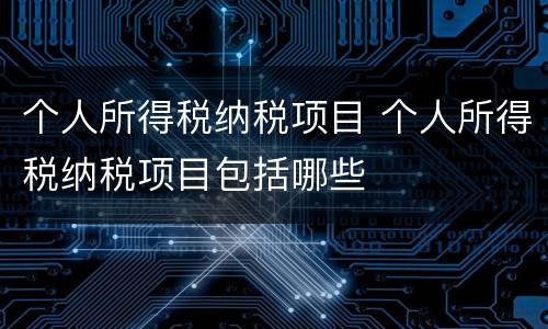 个人所得税纳税项目 个人所得税纳税项目包括哪些