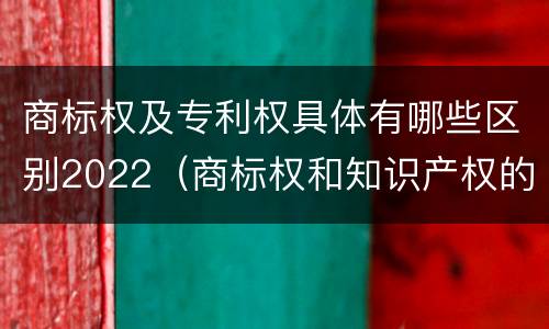 商标权及专利权具体有哪些区别2022（商标权和知识产权的区别）