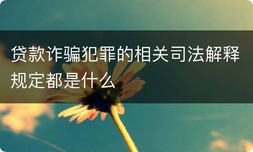贷款诈骗犯罪的相关司法解释规定都是什么