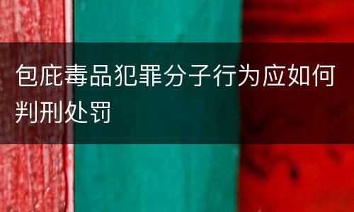 包庇毒品犯罪分子行为应如何判刑处罚