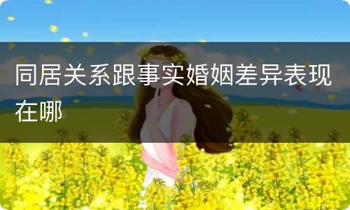同居关系跟事实婚姻差异表现在哪