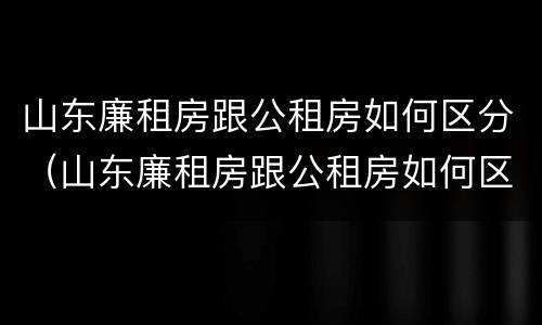 山东廉租房跟公租房如何区分（山东廉租房跟公租房如何区分的）