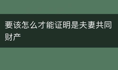 要该怎么才能证明是夫妻共同财产