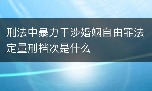 刑法中暴力干涉婚姻自由罪法定量刑档次是什么