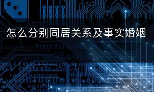 怎么分别同居关系及事实婚姻