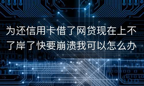 为还信用卡借了网贷现在上不了岸了快要崩溃我可以怎么办