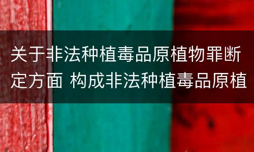 关于非法种植毒品原植物罪断定方面 构成非法种植毒品原植物罪的情形