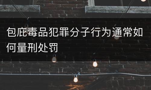 包庇毒品犯罪分子行为通常如何量刑处罚