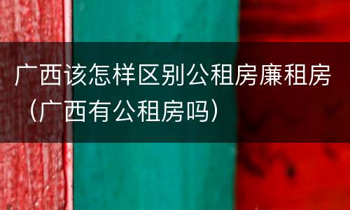 广西该怎样区别公租房廉租房（广西有公租房吗）